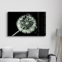 Wallity CAM-3036 Pintura Decorativa de Vidrio Templado 46 x 72 cm